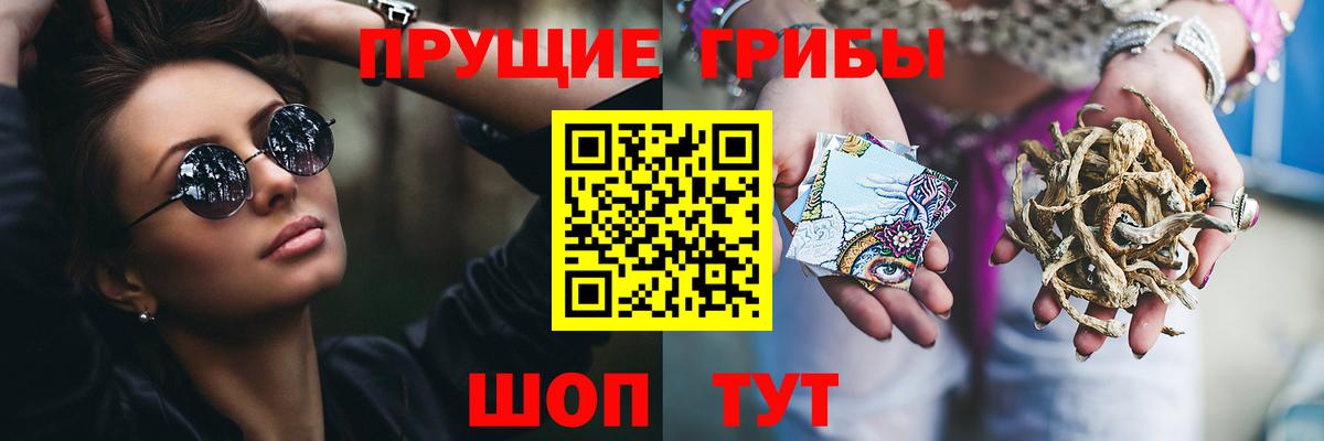 Ливны  Псилоцибиновые грибы Cubensis  Галлюциногенные грибы MAGIC MUSHROOMS  Вход с VPN 